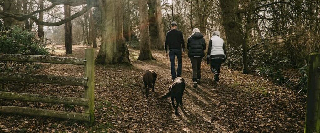 Dog Friendly things to do around Meg K9 Paddock